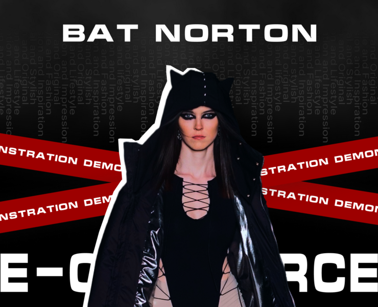 BAT NORTON | E-commerce | Redesign — Интерфейсы, Графика на Dprofile