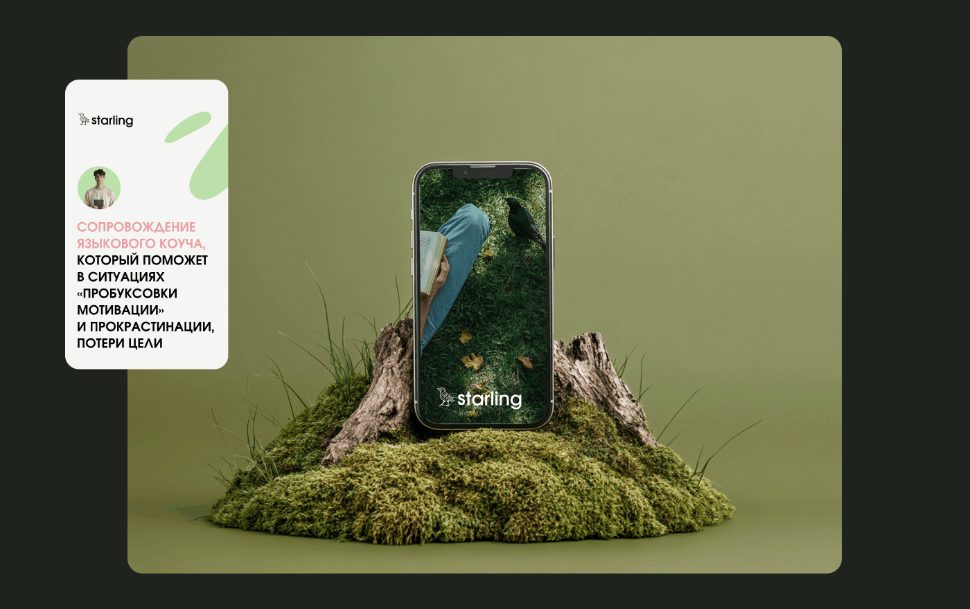 Starling|branding — Изображение №8 — Брендинг на Dprofile