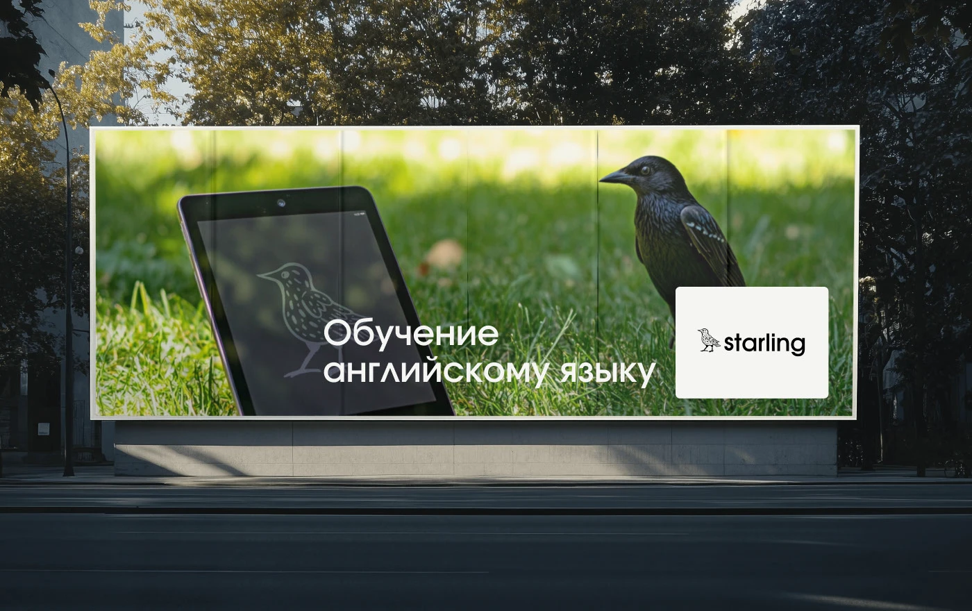 Starling|branding — Изображение №17 — Брендинг на Dprofile
