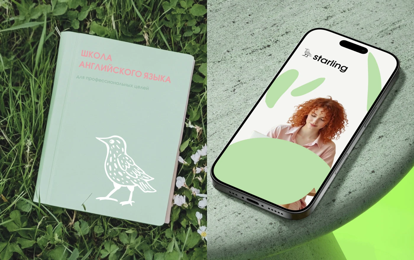 Starling|branding — Изображение №16 — Брендинг на Dprofile