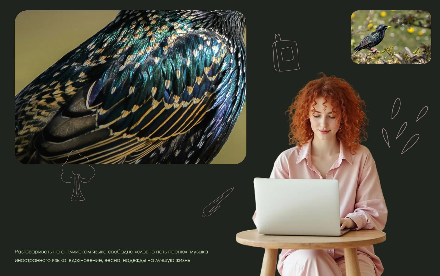 Starling|branding — Изображение №5 — Брендинг на Dprofile