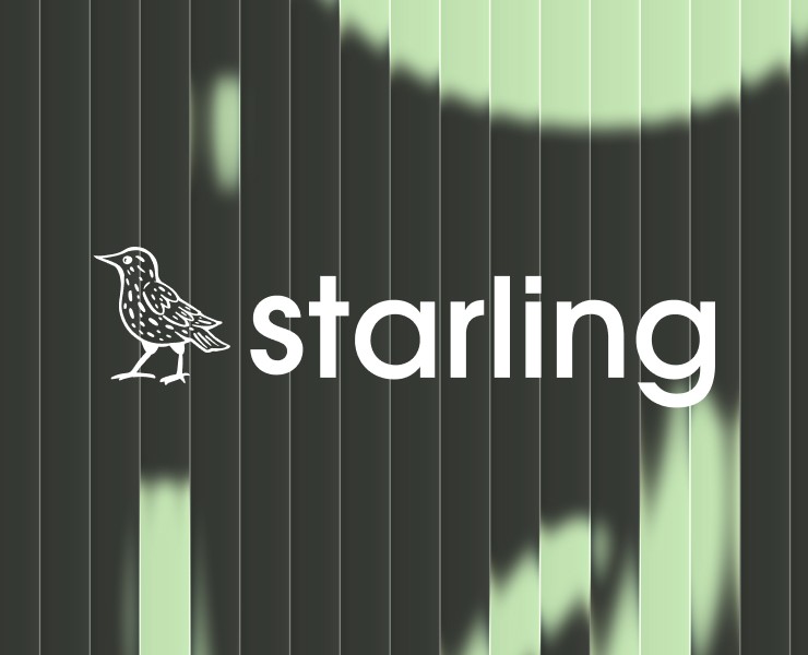 Starling|branding — Брендинг на Dprofile