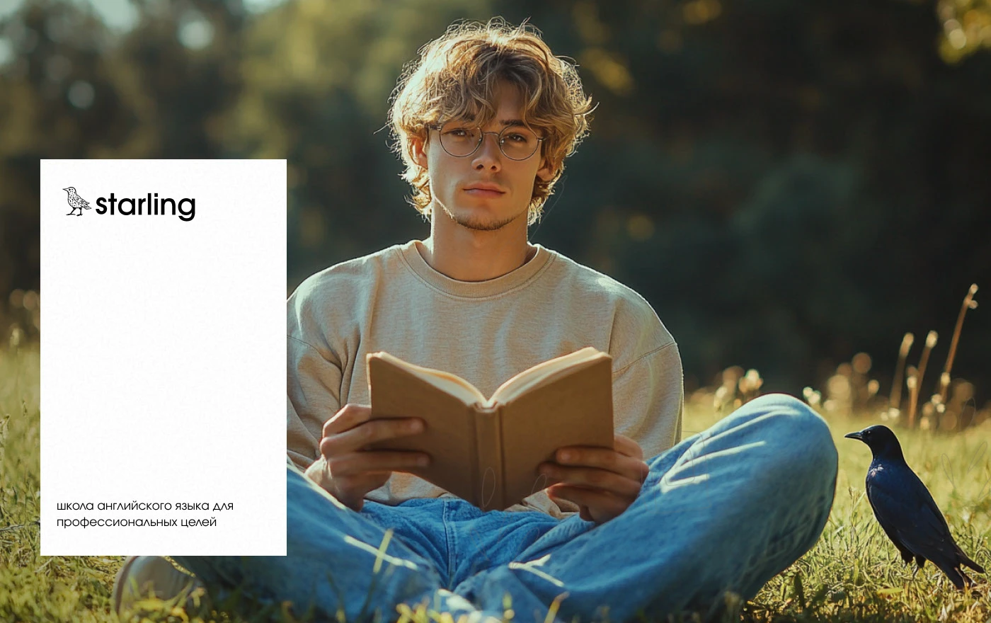 Starling|branding — Изображение №3 — Брендинг на Dprofile
