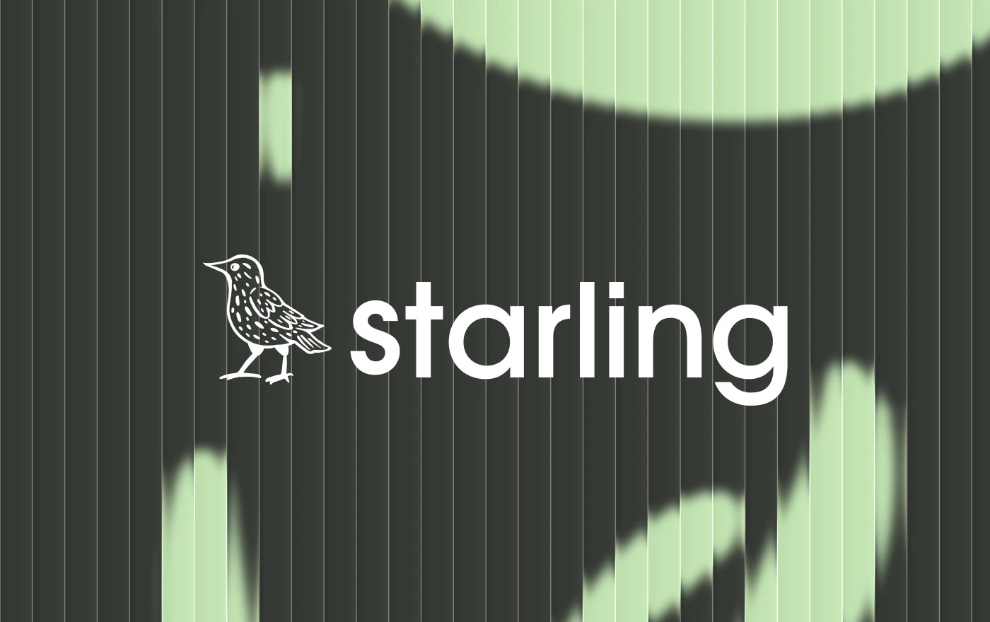 Starling|branding — Изображение №1 — Брендинг на Dprofile