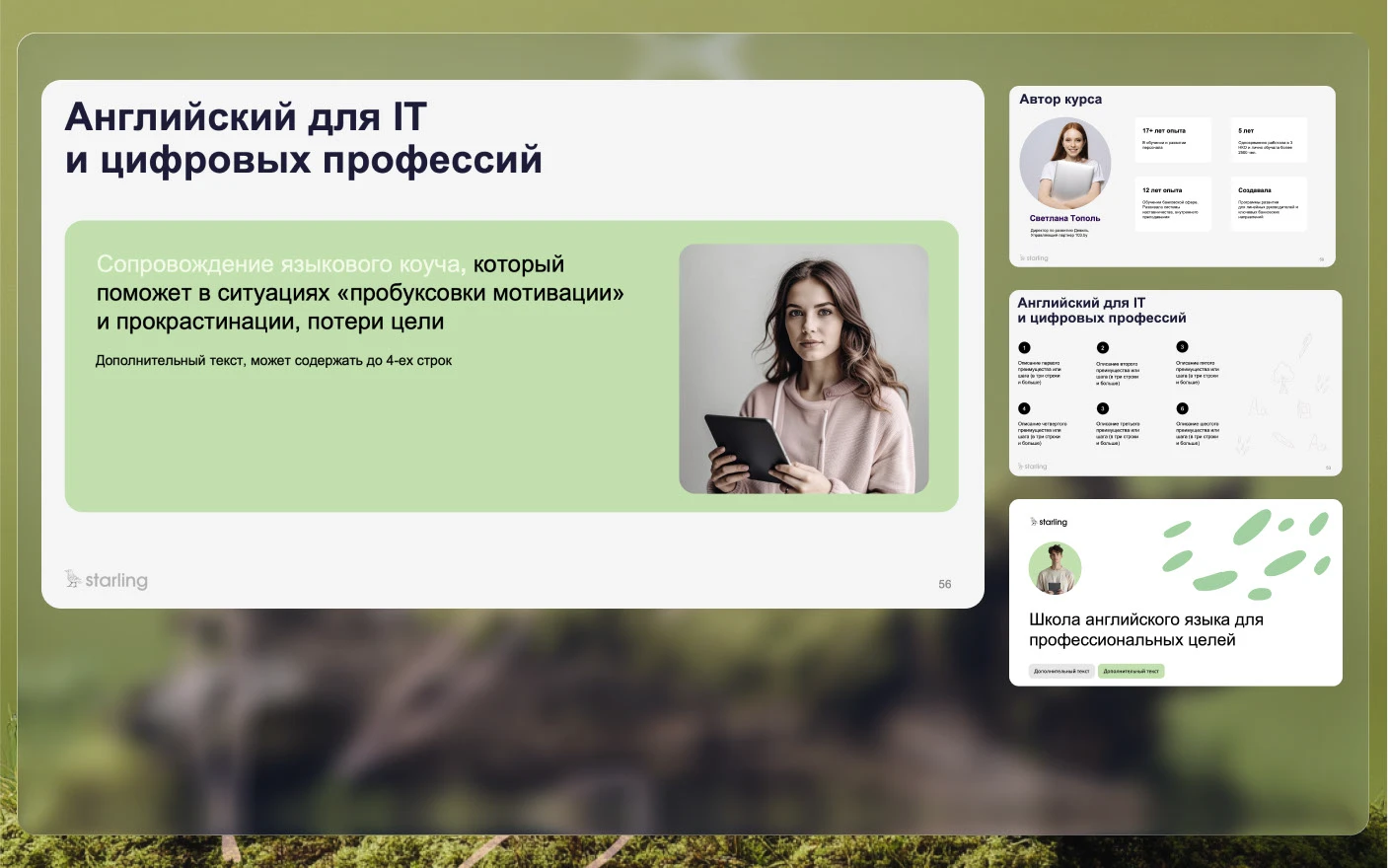Starling|branding — Изображение №12 — Брендинг на Dprofile