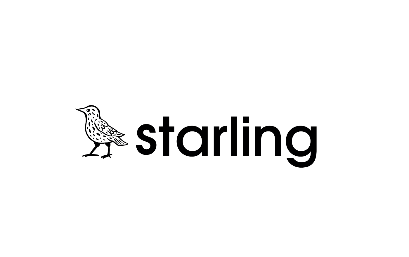 Starling|branding — Изображение №2 — Брендинг на Dprofile