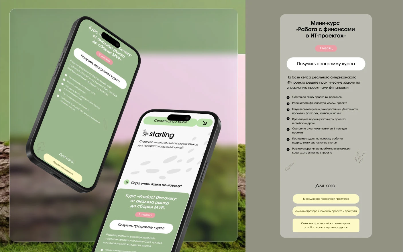 Starling|branding — Изображение №14 — Брендинг на Dprofile
