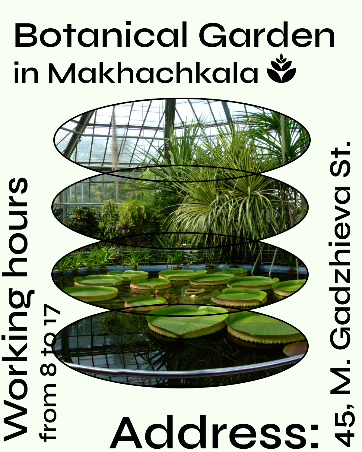 Плакат " Botanical Garden in Makhachkala" — Изображение №1 — Иллюстрация, Графика на Dprofile