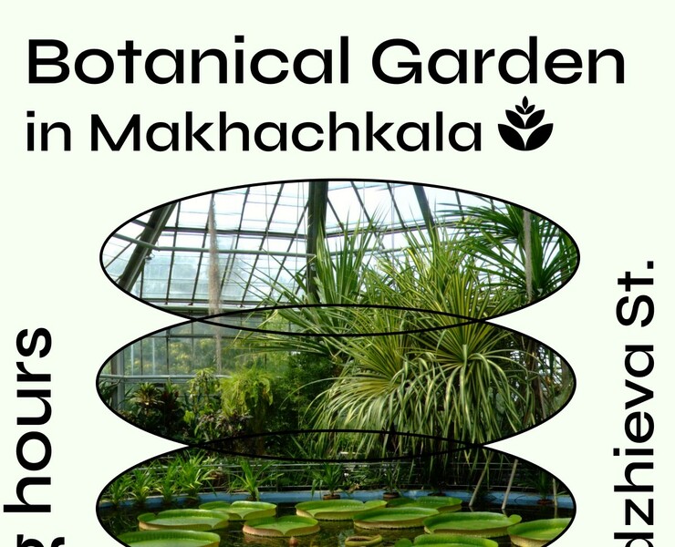 Плакат " Botanical Garden in Makhachkala" — Иллюстрация, Графика на Dprofile