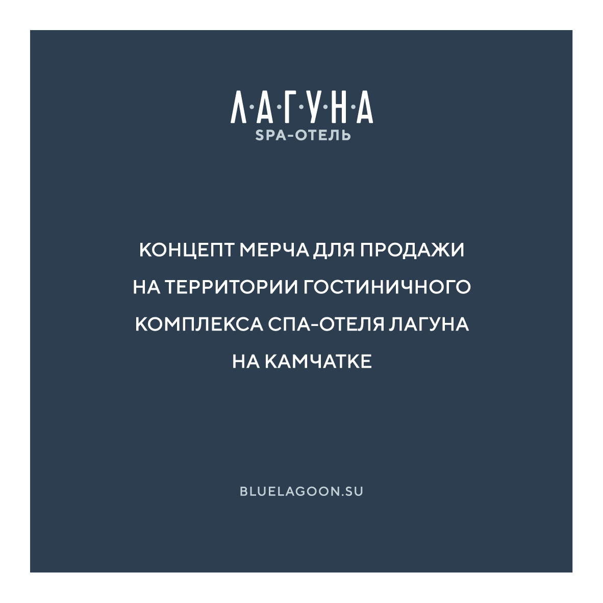 Концепт мерча для отеля на Камчатке — Изображение №1 — Брендинг, Графика на Dprofile