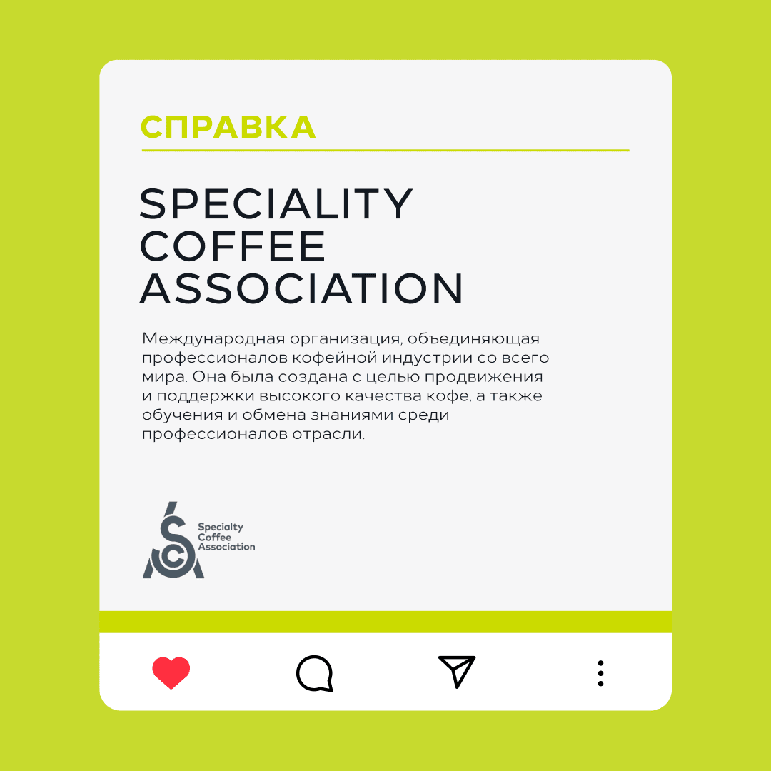 coffee workshop — Изображение №22 — Брендинг на Dprofile