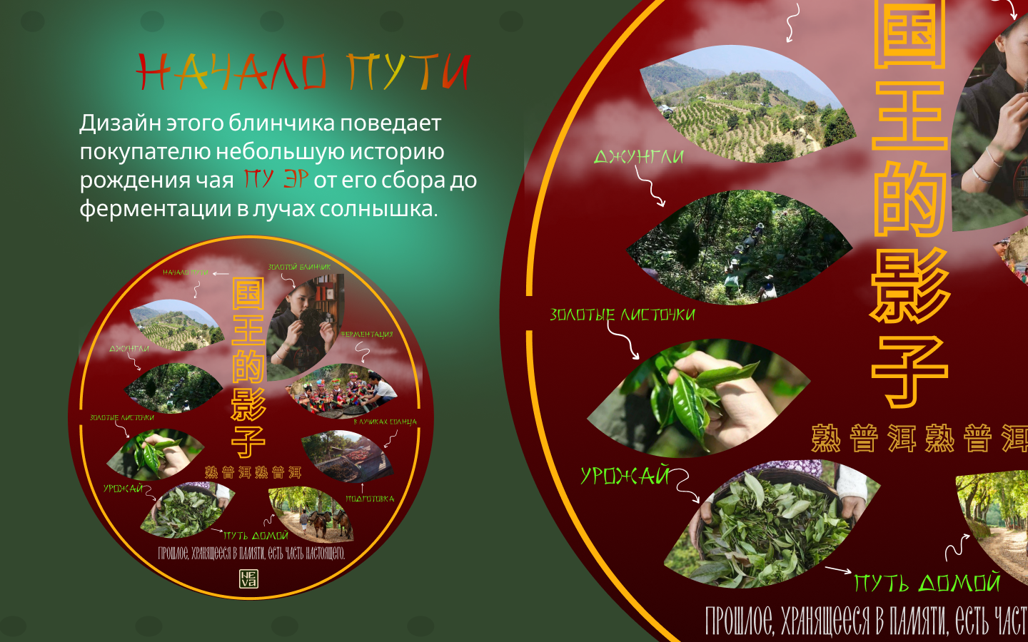 КАЧАЕМ ДИЗАЙН — Изображение №2 — Интерфейсы, Брендинг на Dprofile