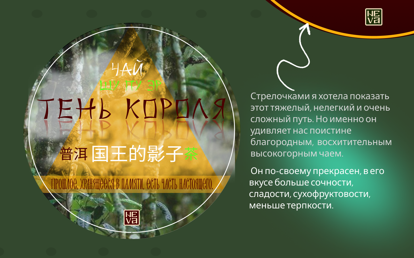КАЧАЕМ ДИЗАЙН — Изображение №3 — Интерфейсы, Брендинг на Dprofile