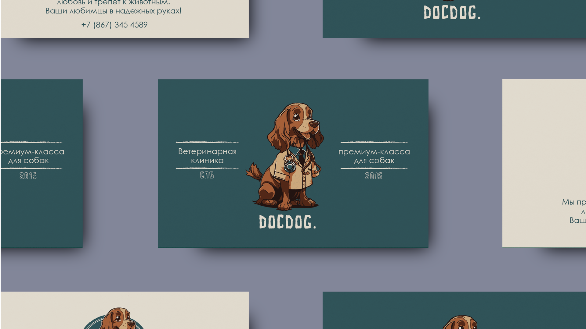 docdog. клиника премиум-класса для животных — Изображение №7 — Брендинг, Иллюстрация на Dprofile