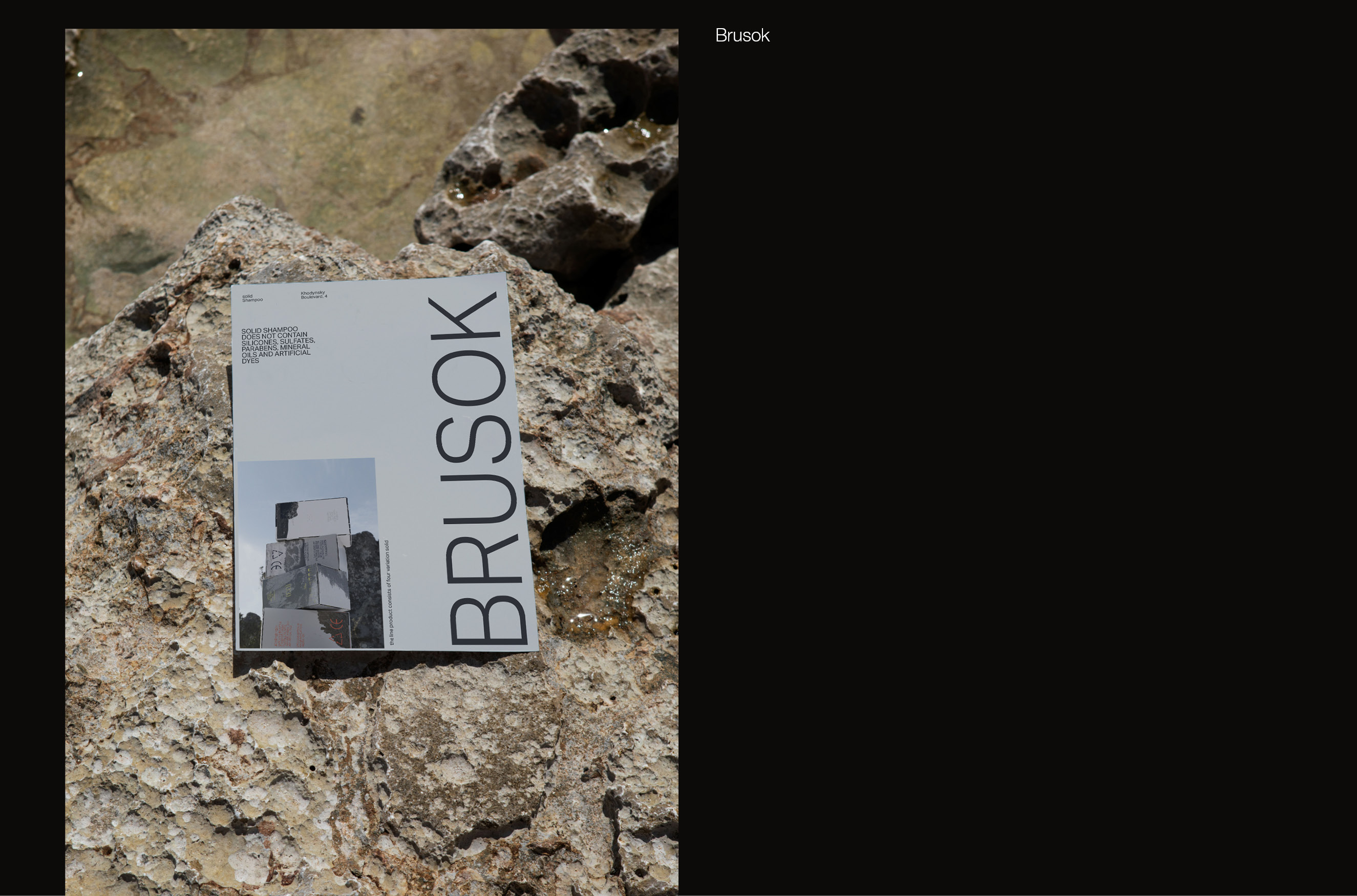 BRUSOK — Изображение №17 — Брендинг, 3D на Dprofile