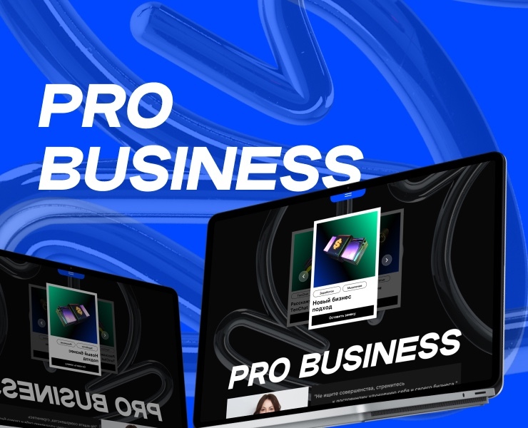PROBUSINESS — сайт для бизнес коуча — Интерфейсы, Брендинг на Dprofile