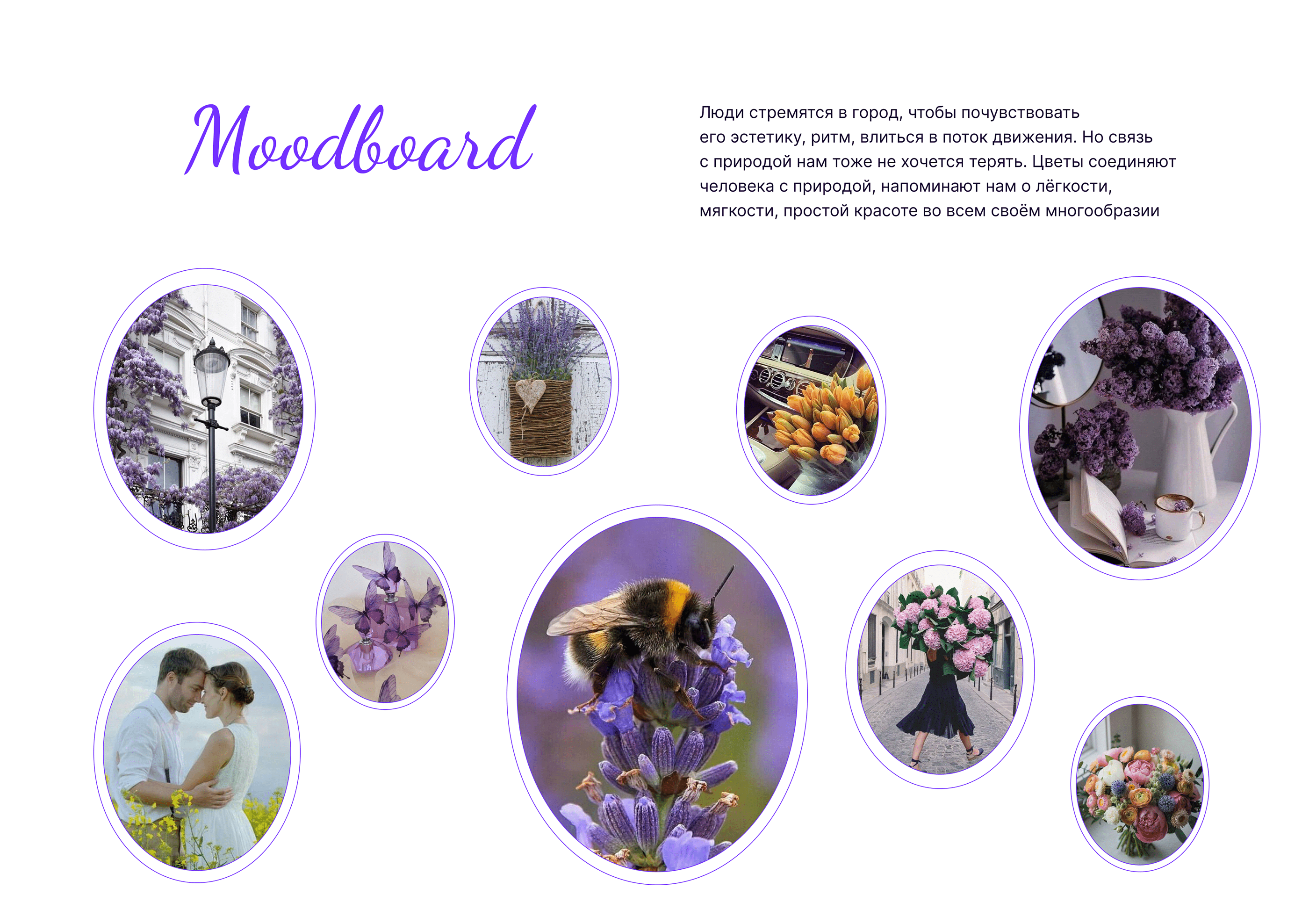 Мобильное приложение для цветочного магазина Lavender — Изображение №4 — Интерфейсы на Dprofile