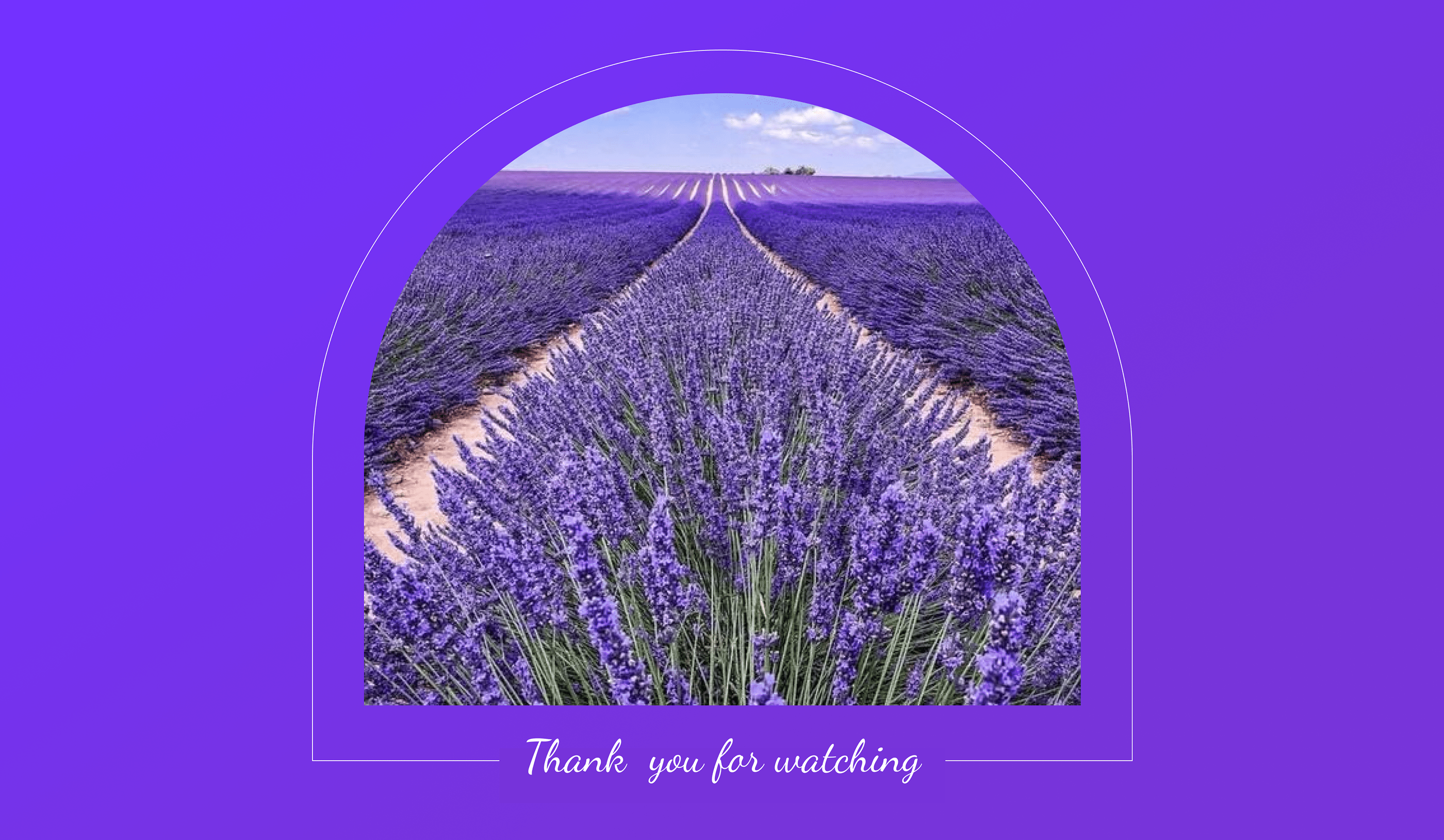 Мобильное приложение для цветочного магазина Lavender — Изображение №13 — Интерфейсы на Dprofile