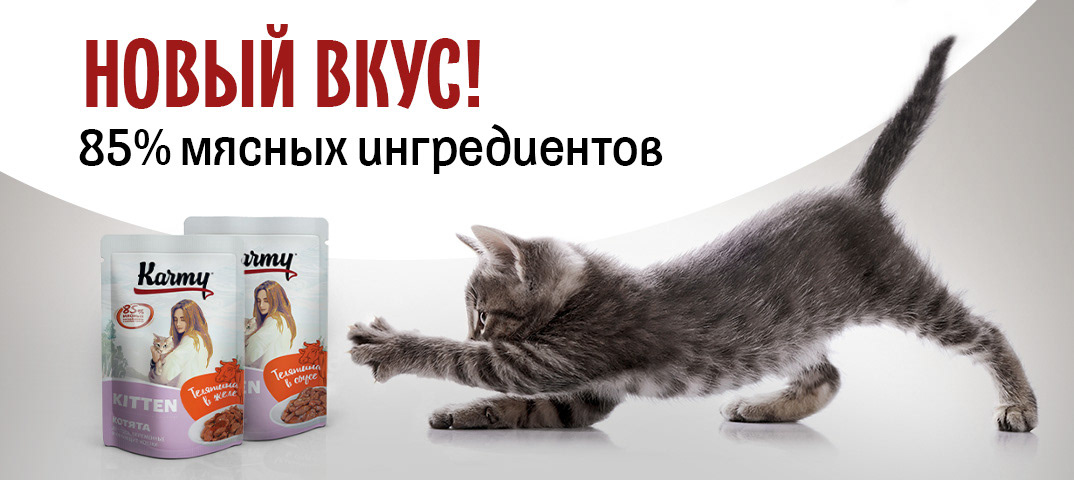 Рекламные креативы для компании Karmy — Изображение №4 — Графика, Маркетинг на Dprofile