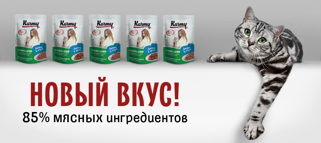 Рекламные креативы для компании Karmy — Изображение №5 — Графика, Маркетинг на Dprofile