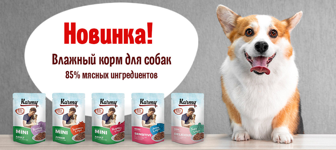 Рекламные креативы для компании Karmy — Изображение №7 — Графика, Маркетинг на Dprofile