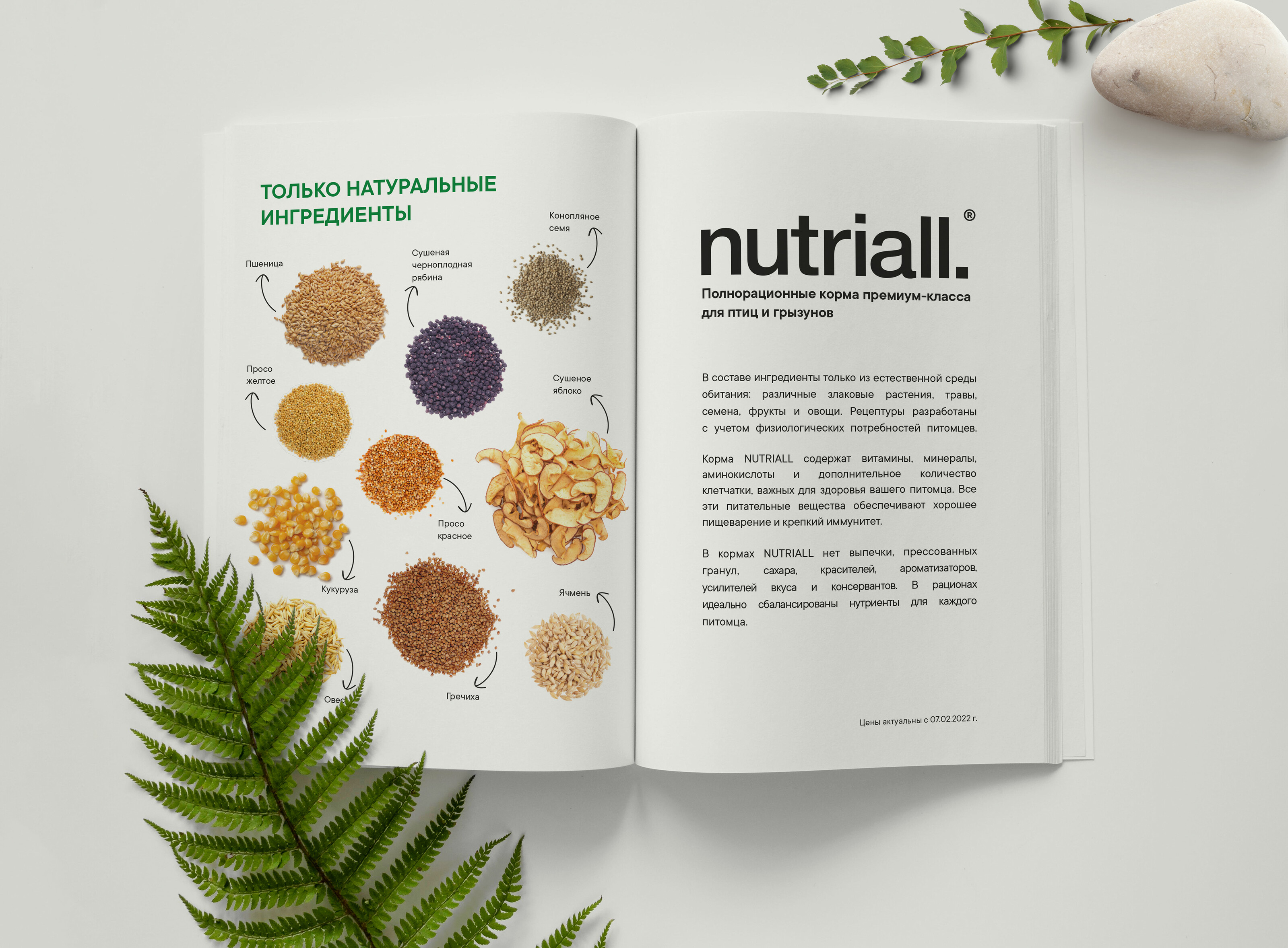 Верстка каталога NUTRIALL — Изображение №2 — Графика, Маркетинг на Dprofile