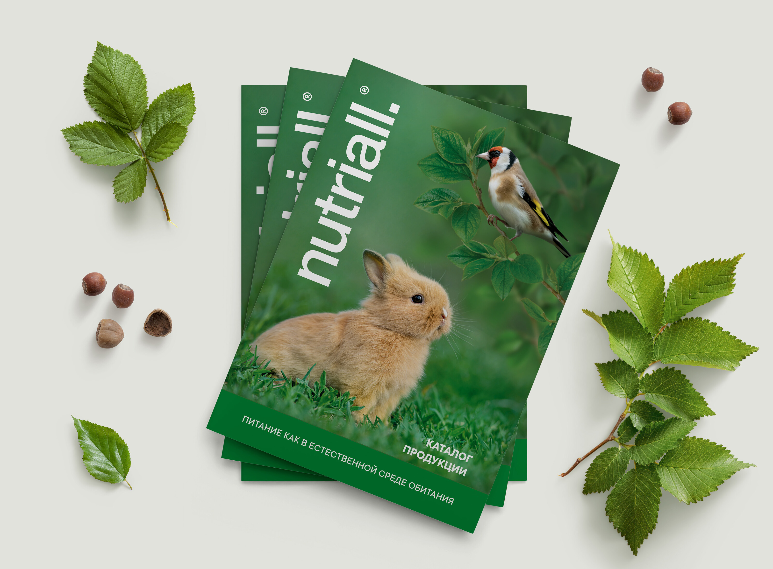 Верстка каталога NUTRIALL — Изображение №1 — Графика, Маркетинг на Dprofile