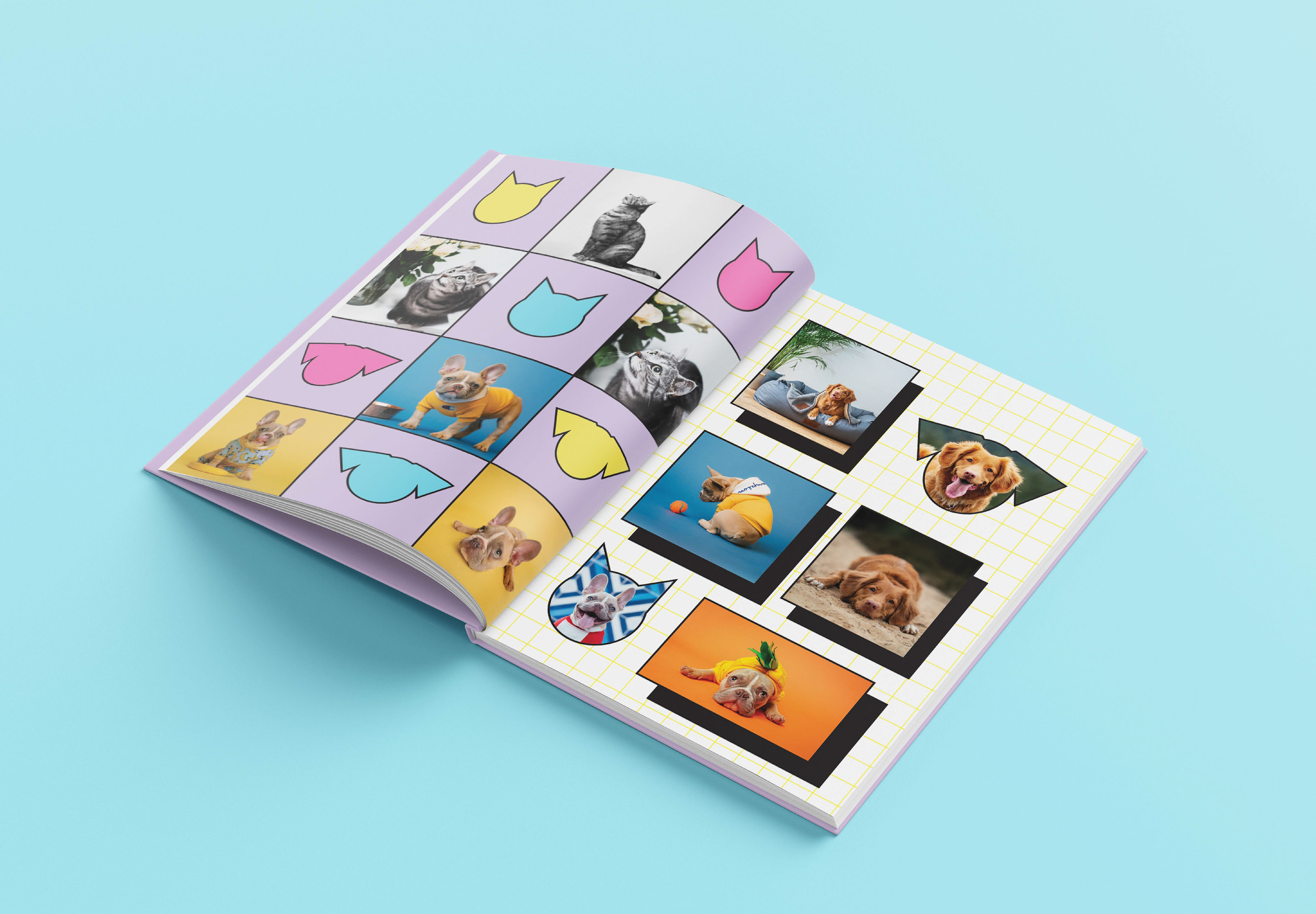 Альбом для домашних животных/Album for pets — Изображение №4 — Иллюстрация, Графика на Dprofile