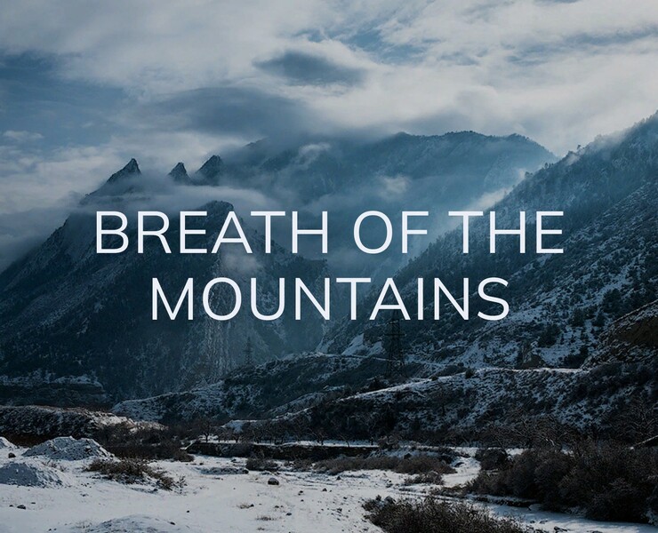 Breath of the mountains — Интерфейсы на Dprofile