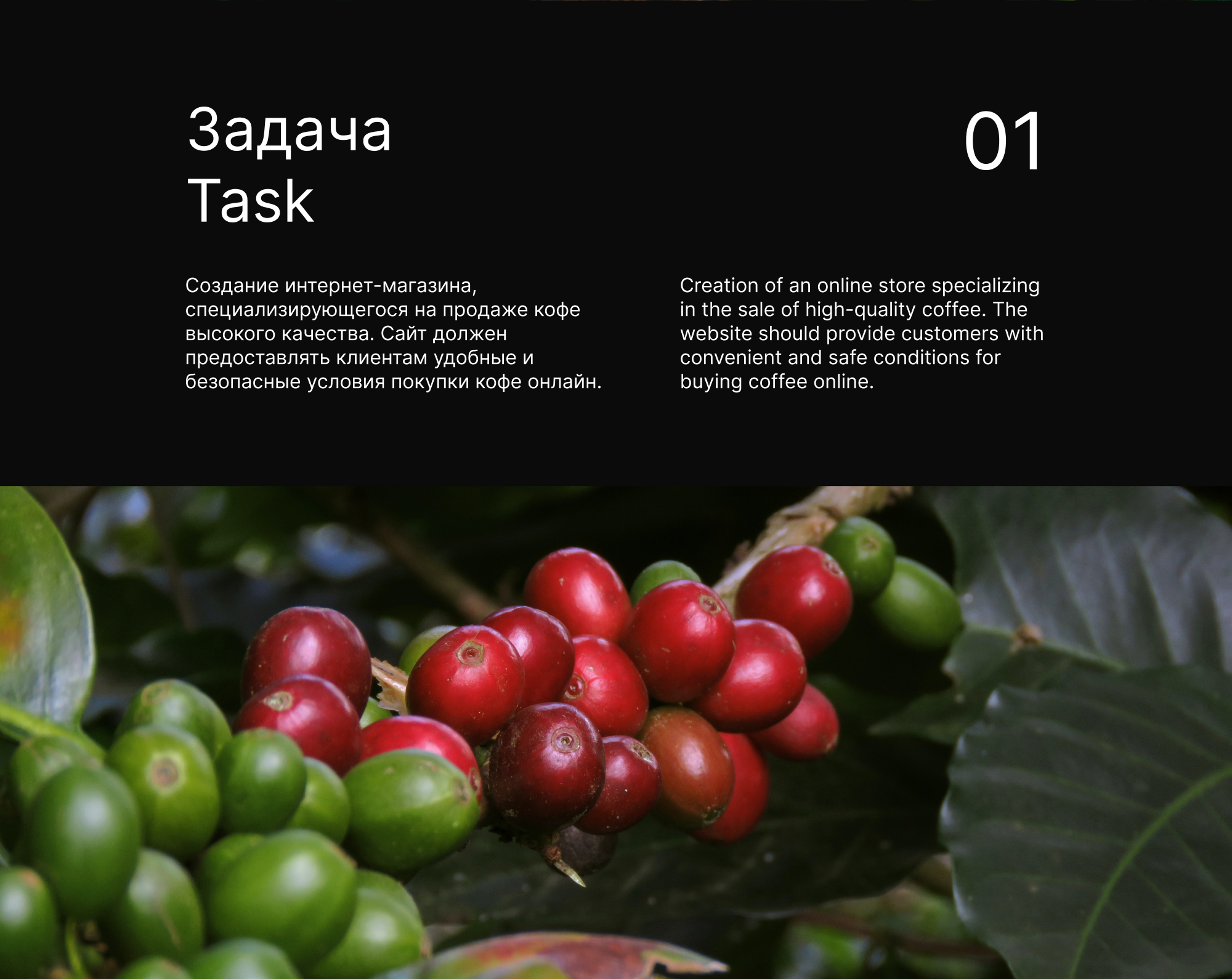 AFROBICA — Изображение №2 — Интерфейсы на Dprofile