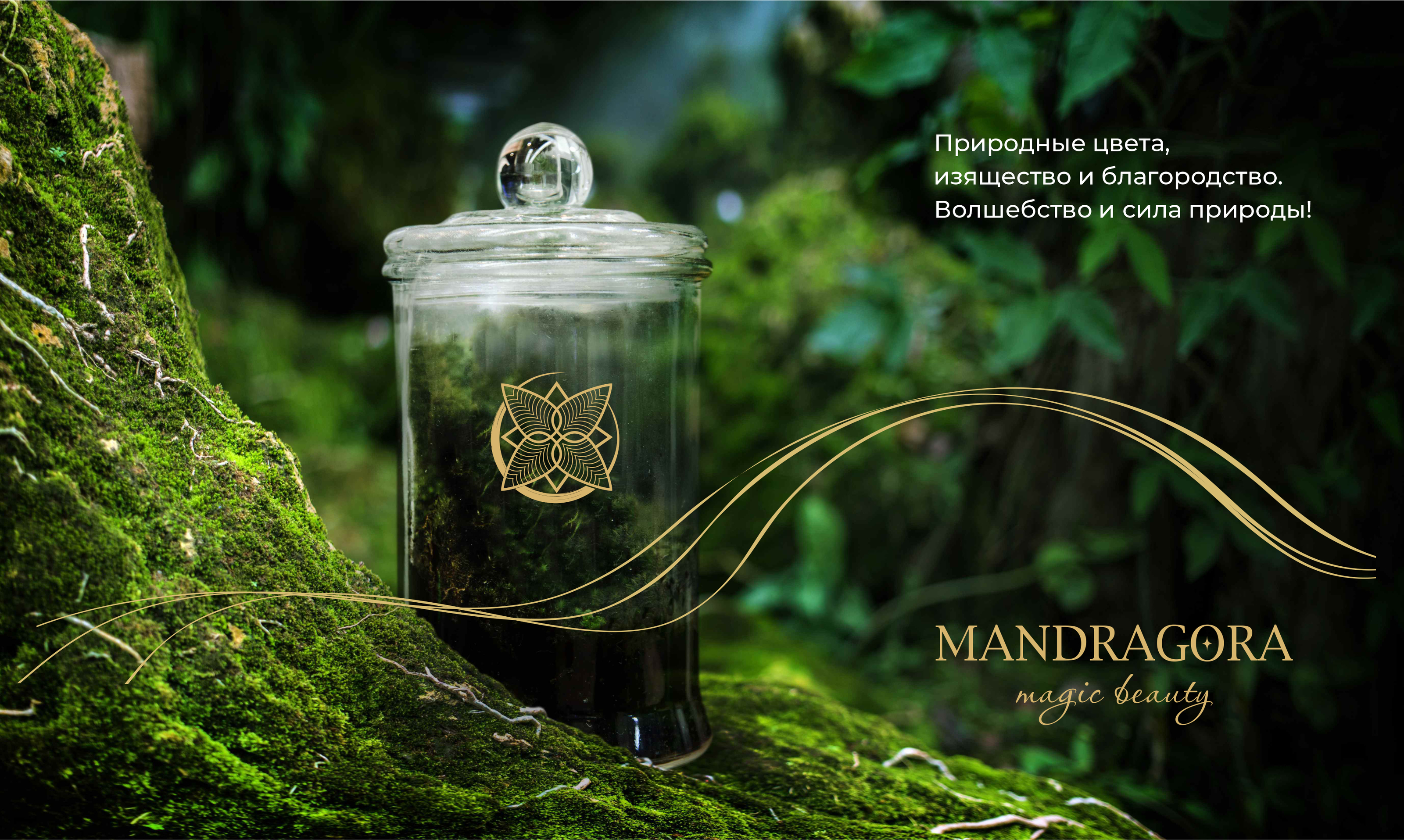 Бренд натуральной косметики Mandragora — Изображение №4 — Интерфейсы, Брендинг на Dprofile
