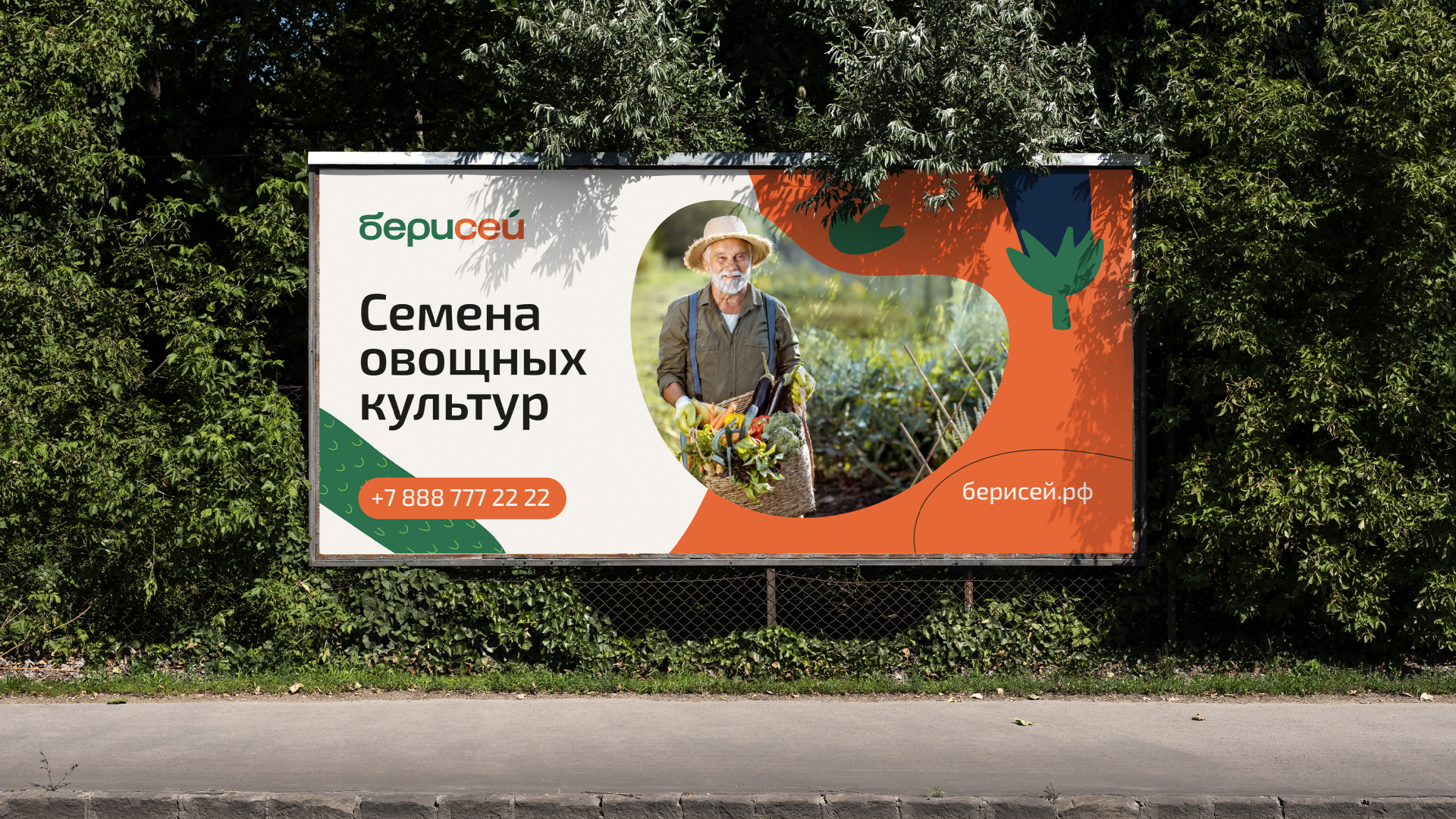 БЕРИСЕЙ | Семена овощных культур — Изображение №13 — Брендинг, Графика на Dprofile