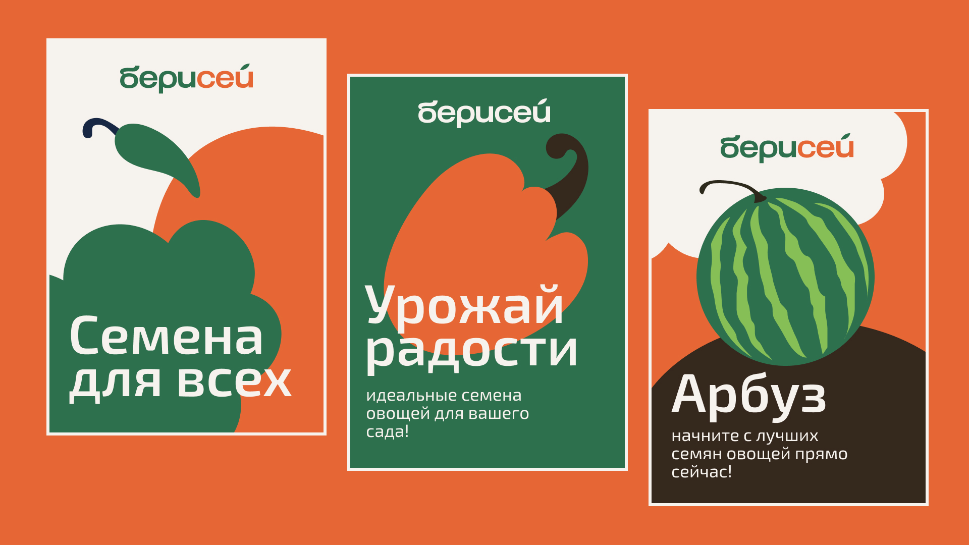 БЕРИСЕЙ | Семена овощных культур — Изображение №8 — Брендинг, Графика на Dprofile