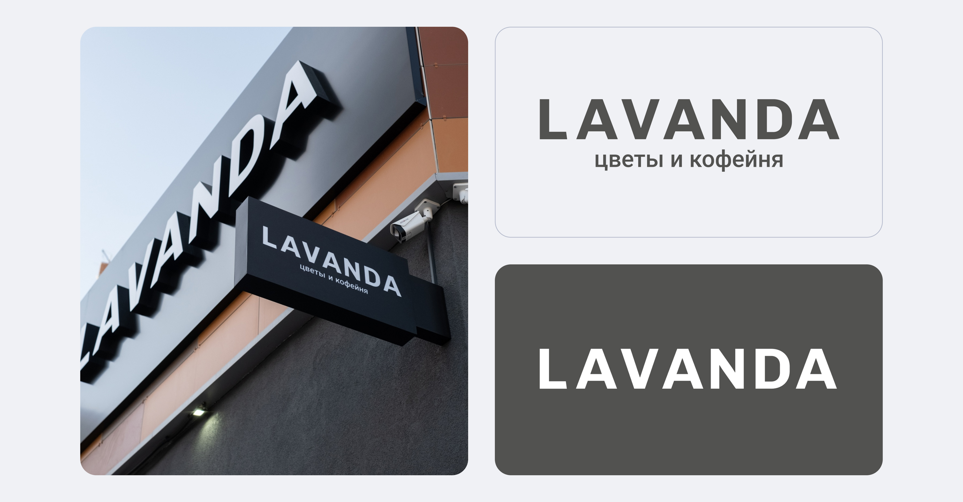 Lavanda — Brand identity — Изображение №3 — Брендинг на Dprofile