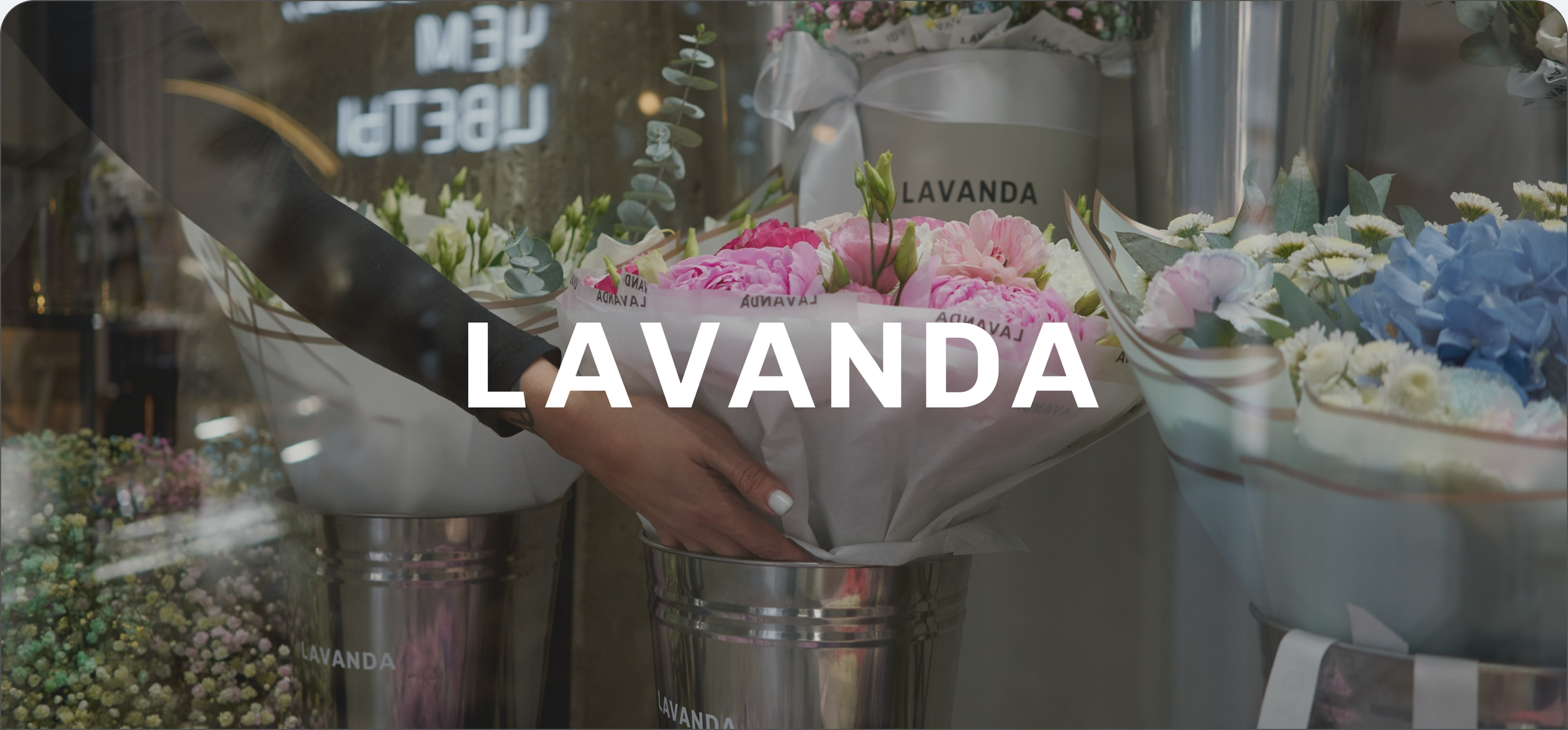 Lavanda — Brand identity — Изображение №5 — Брендинг на Dprofile