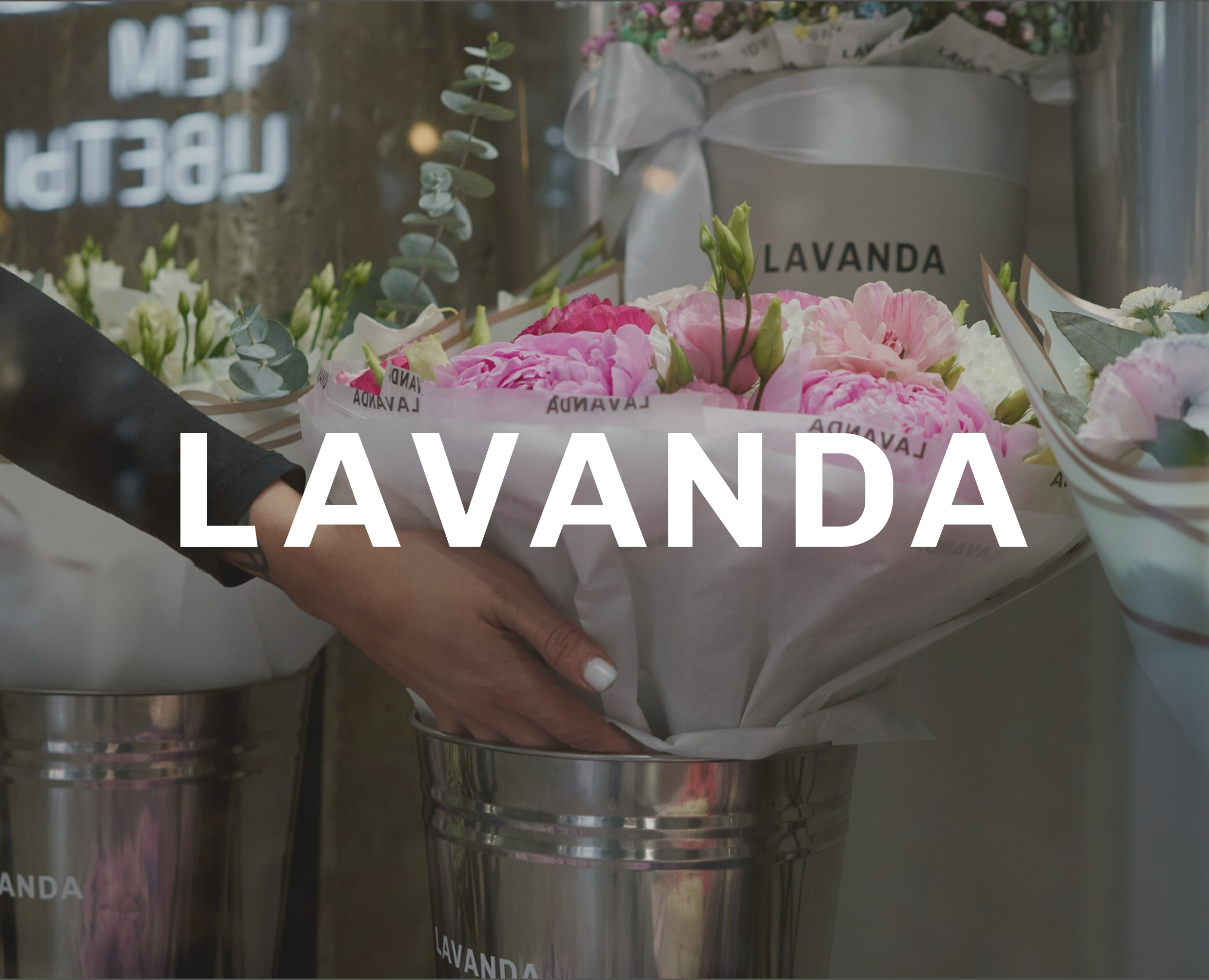 Lavanda — Brand identity на Dprofile