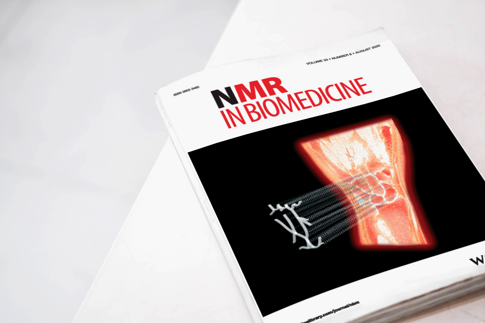 Иллюстрация для обложки NMR in Biomedicine — Изображение №1 — Иллюстрация, 3D на Dprofile