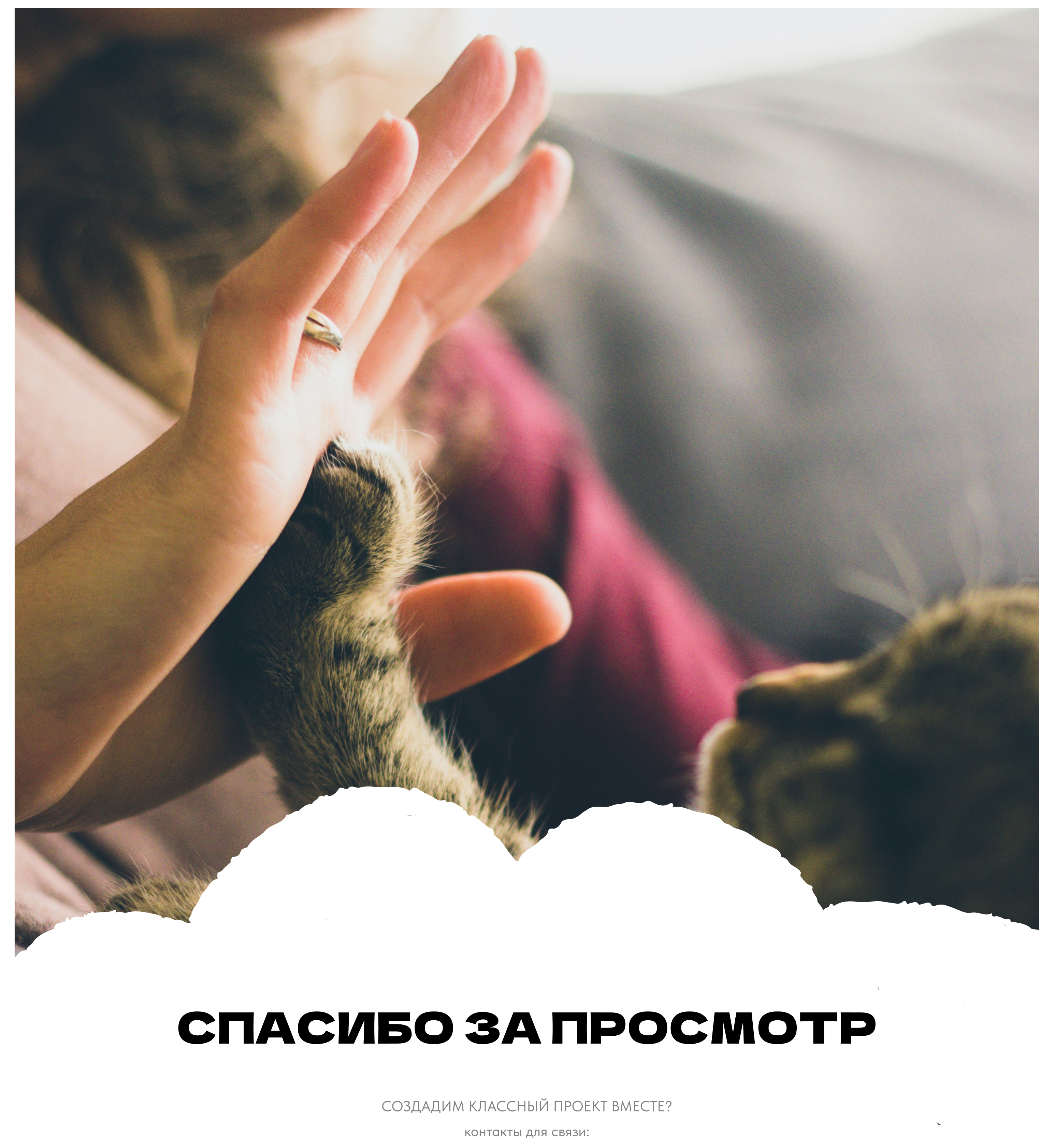 Груминг "Pet Fur" | Айдентика — Изображение №7 — Брендинг на Dprofile