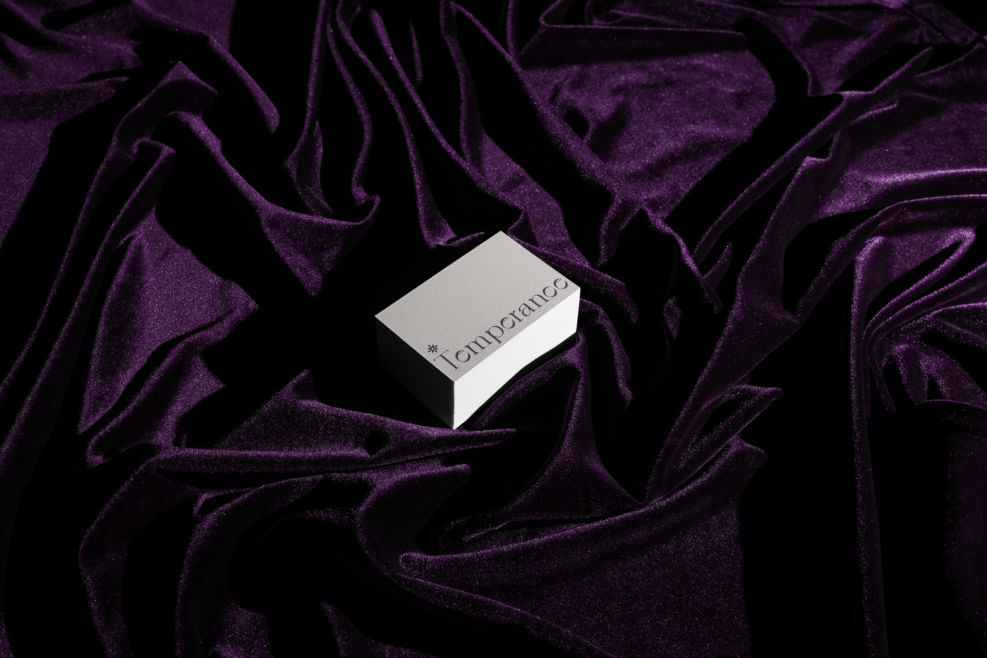 Temperance cosmetics / BRANDING — Изображение №15 — Брендинг на Dprofile