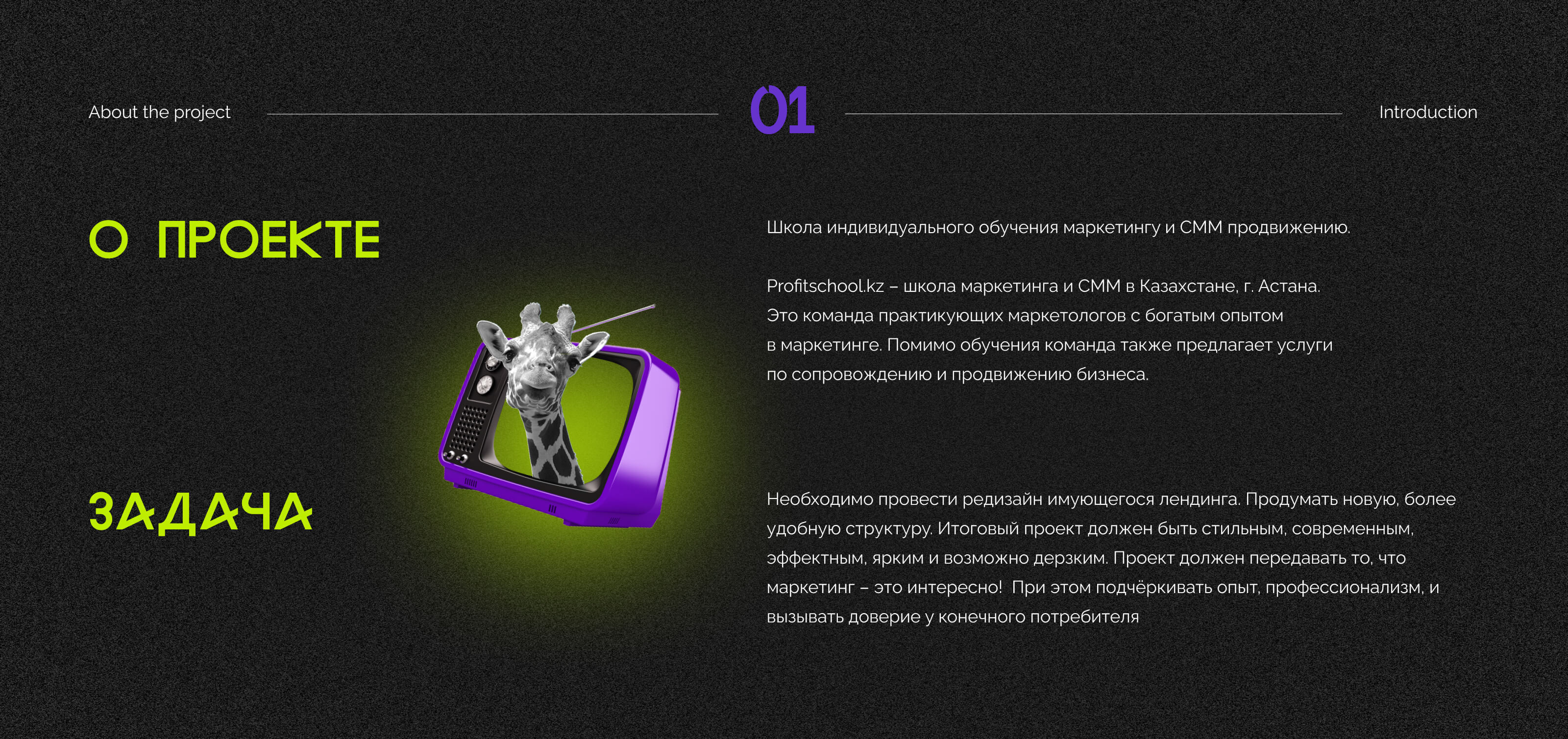 Лендинг для школы маркетинга — Изображение №2 — Интерфейсы, Маркетинг на Dprofile