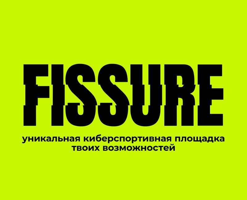FISSURE | Branding на Dprofile