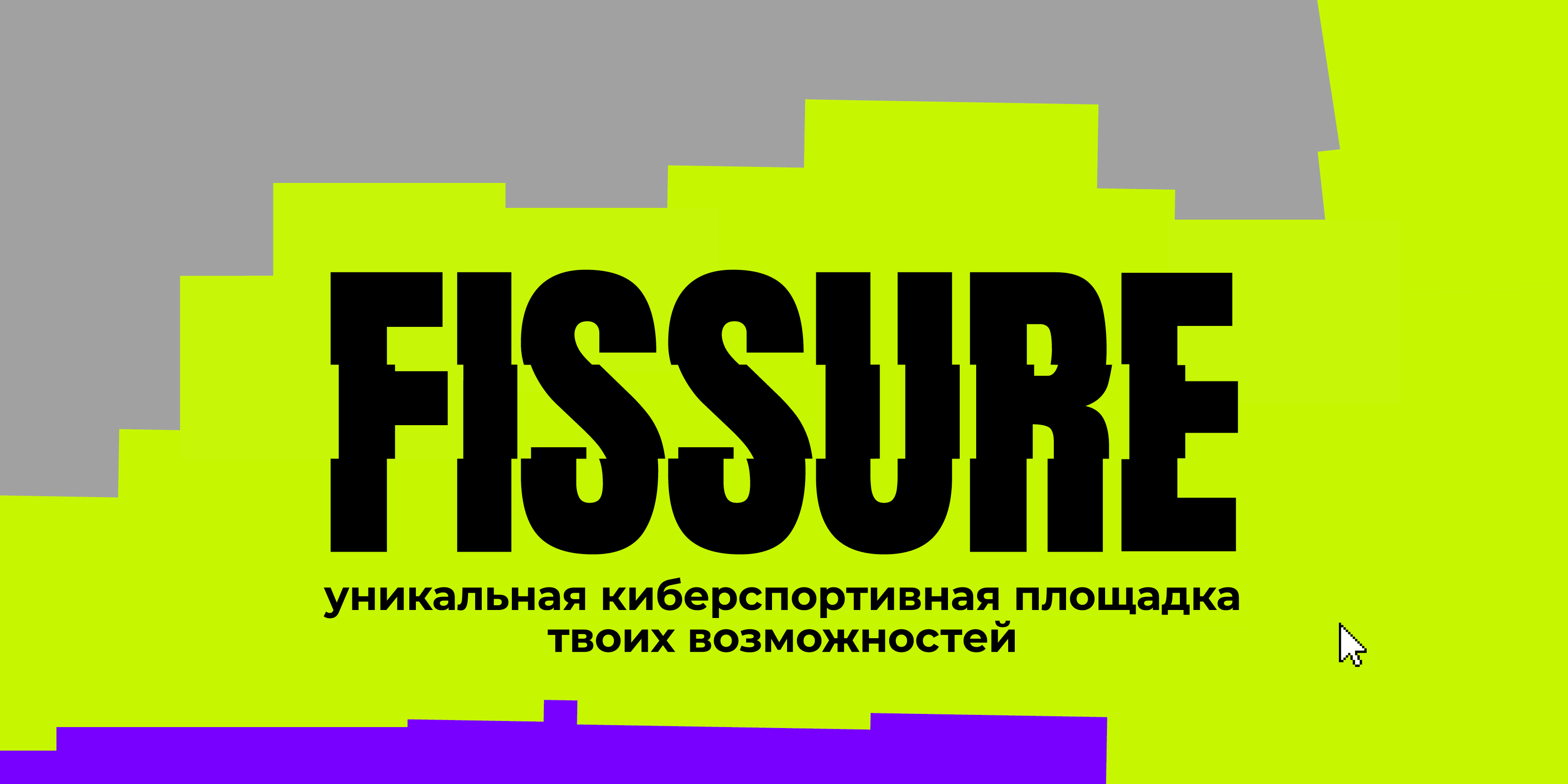 FISSURE | Branding — Изображение №1 — Брендинг на Dprofile