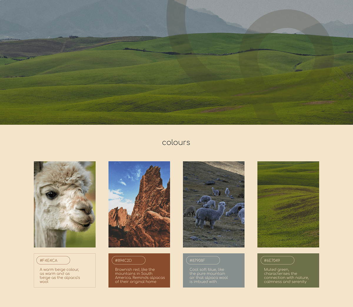 Wool Friends | Identity & Logotype — Изображение №3 — Брендинг на Dprofile