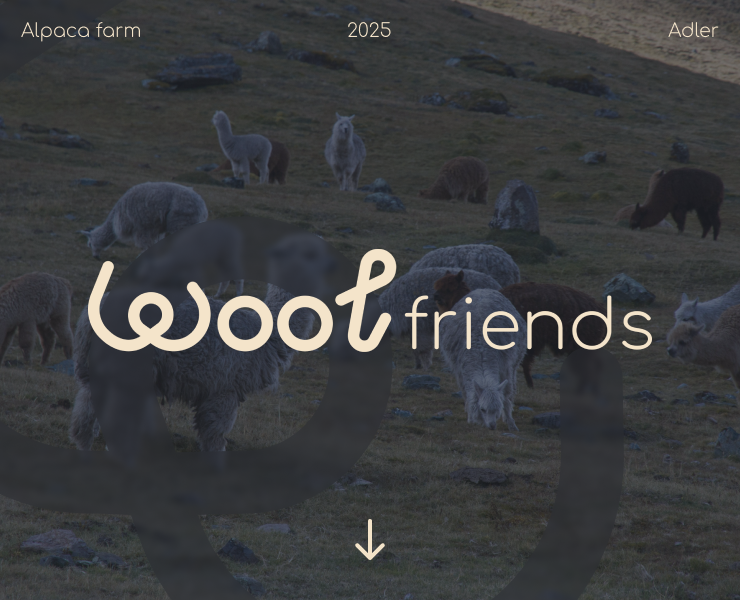 Wool Friends | Identity & Logotype — Брендинг на Dprofile