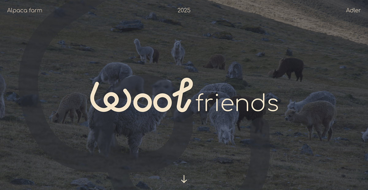 Wool Friends | Identity & Logotype — Изображение №1 — Брендинг на Dprofile