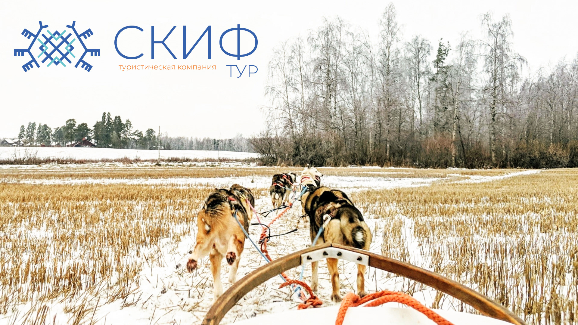 СКИФ ТУР фирменный стиль — Изображение №1 — Брендинг на Dprofile
