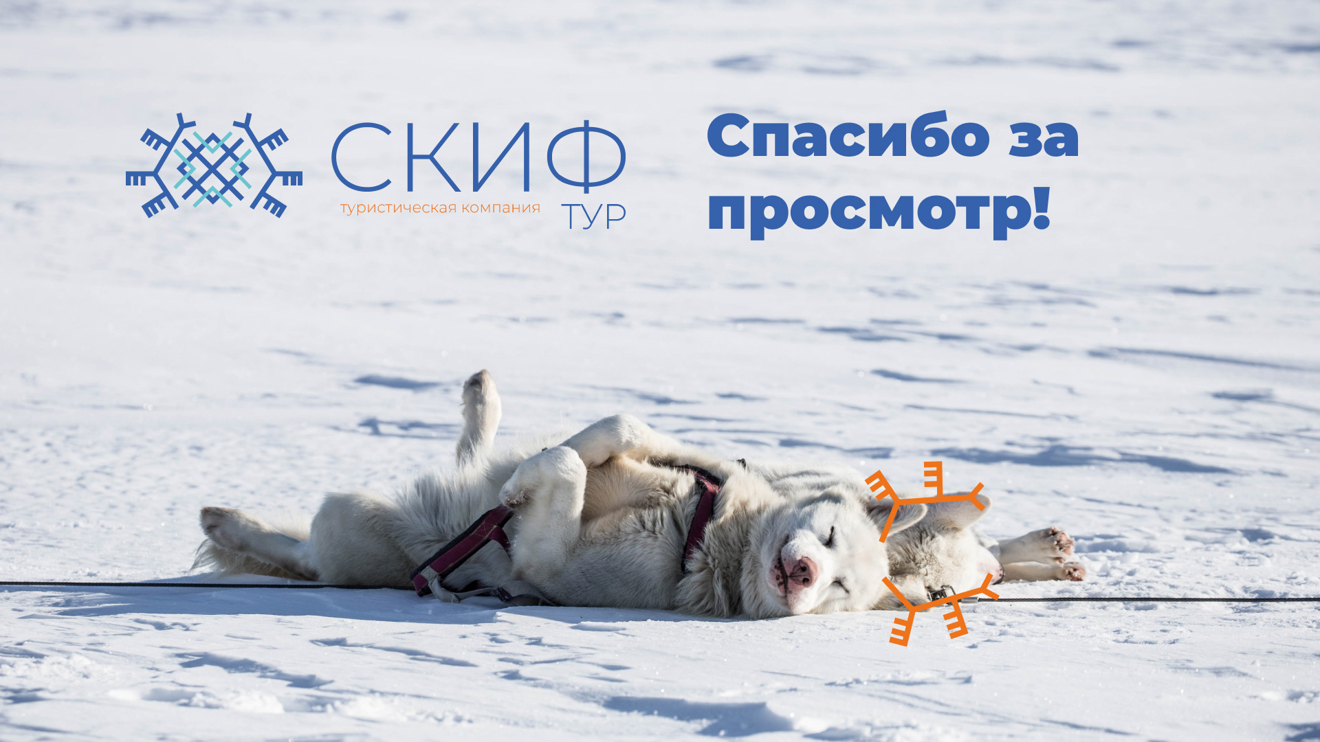 СКИФ ТУР фирменный стиль — Изображение №9 — Брендинг на Dprofile