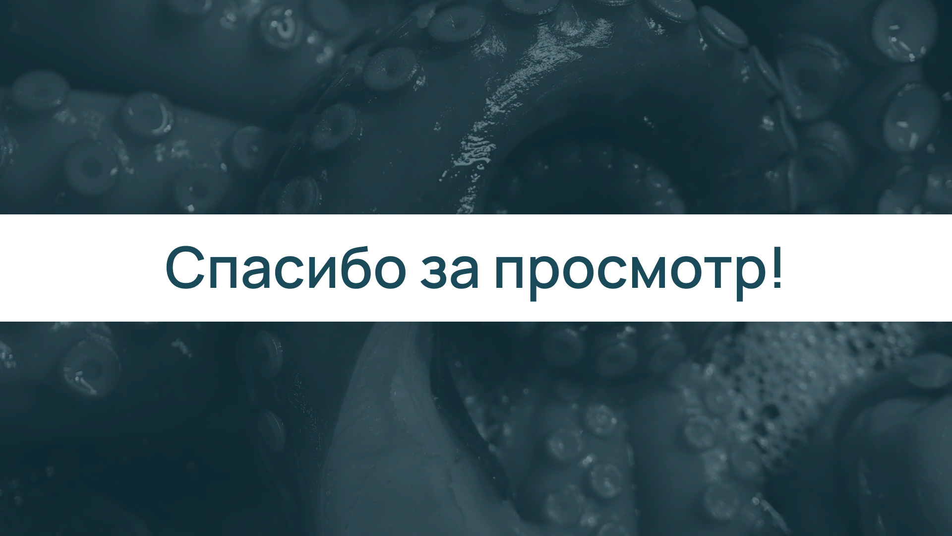 OCTOPUS | Фирменный стиль магазин морепродуктов — Изображение №9 — Брендинг на Dprofile