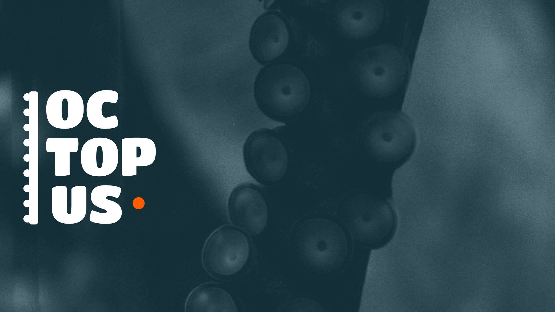 OCTOPUS | Фирменный стиль магазин морепродуктов — Изображение №1 — Брендинг на Dprofile