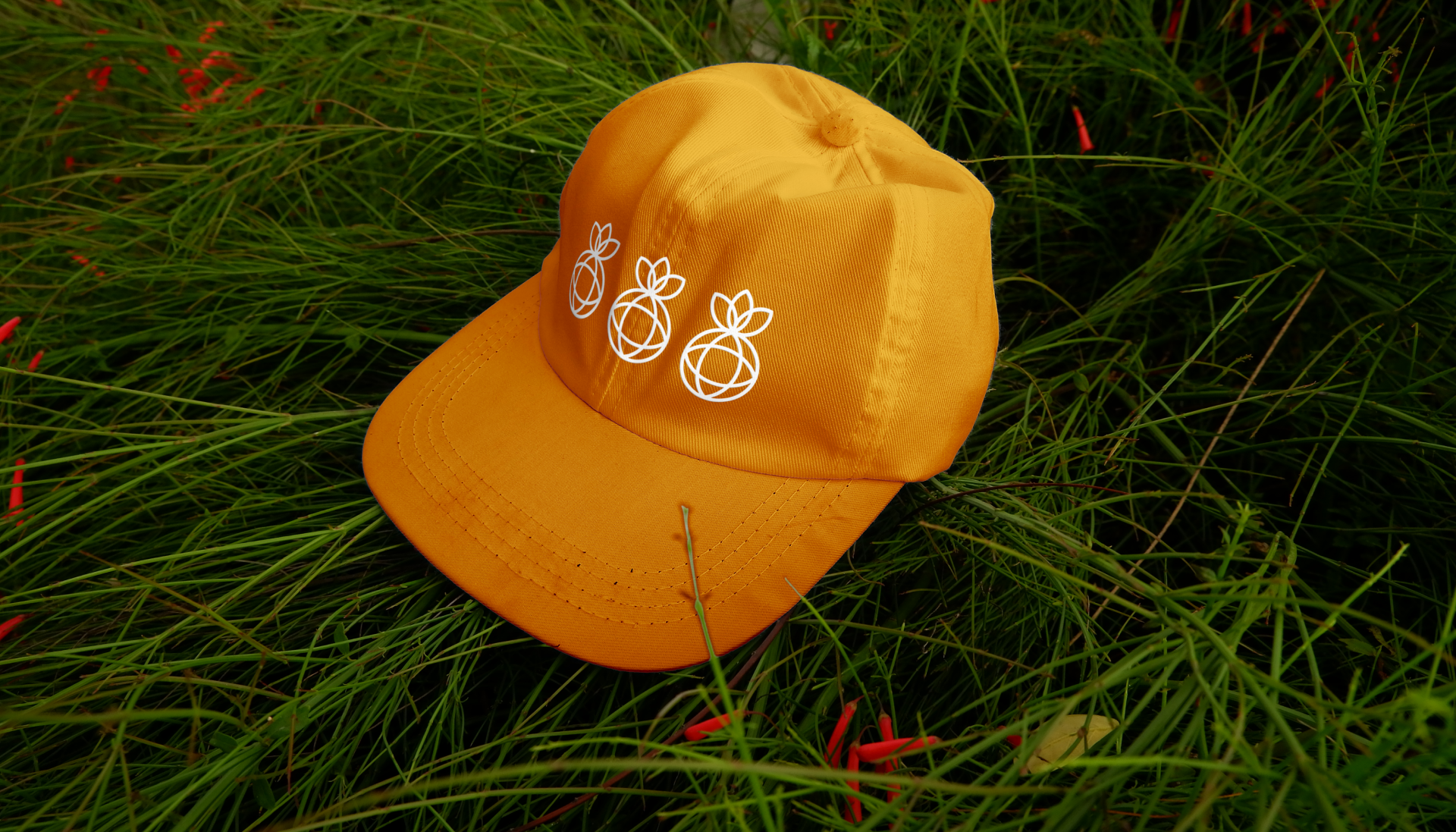 Вокругнас — Изображение №3 — Брендинг, Графика на Dprofile